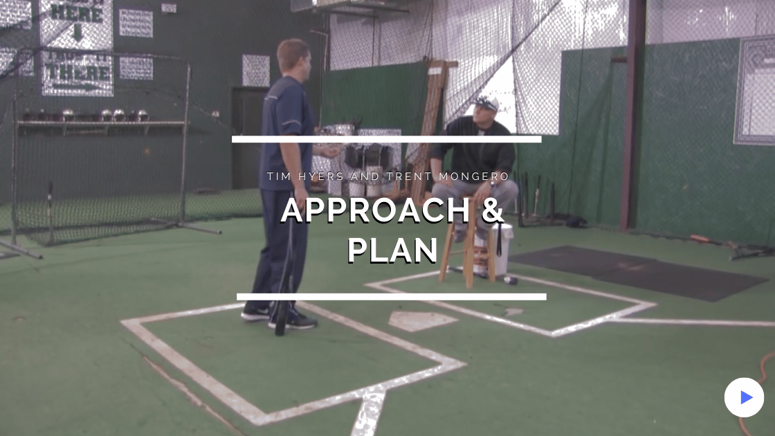 Approach & Plan